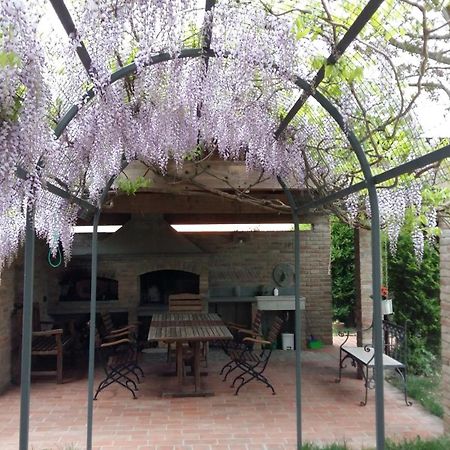 B&B Le Ripe Lugo  Dış mekan fotoğraf